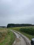 Grunty rolne 9,43ha, w tym 0,48ha lasu Ludowice Pole Ziemia