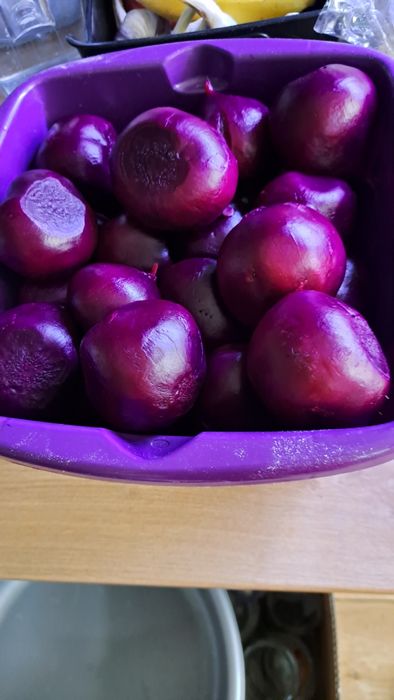 Buraczki domowej roboty i nie tylko...