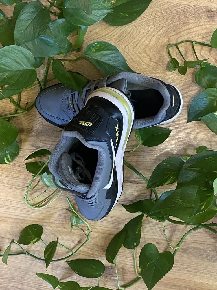 Nike Air Maxx 90