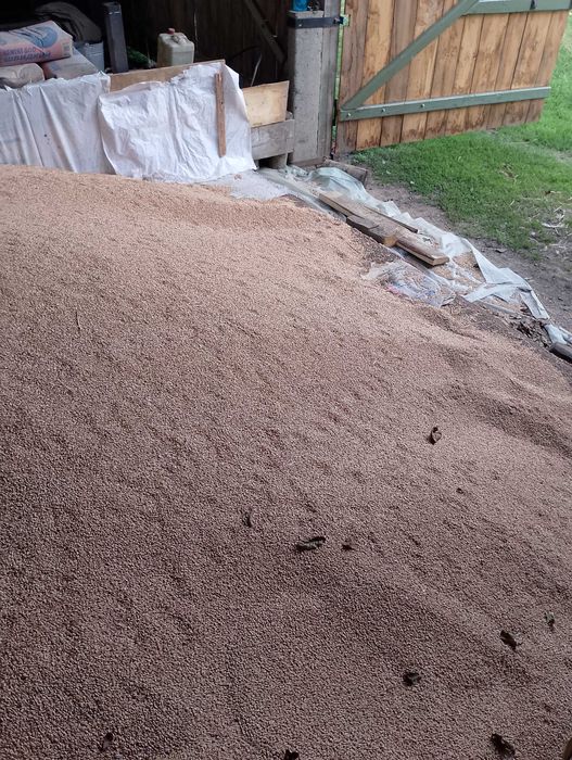 Продам пшеницю . Урожай 2025 року .