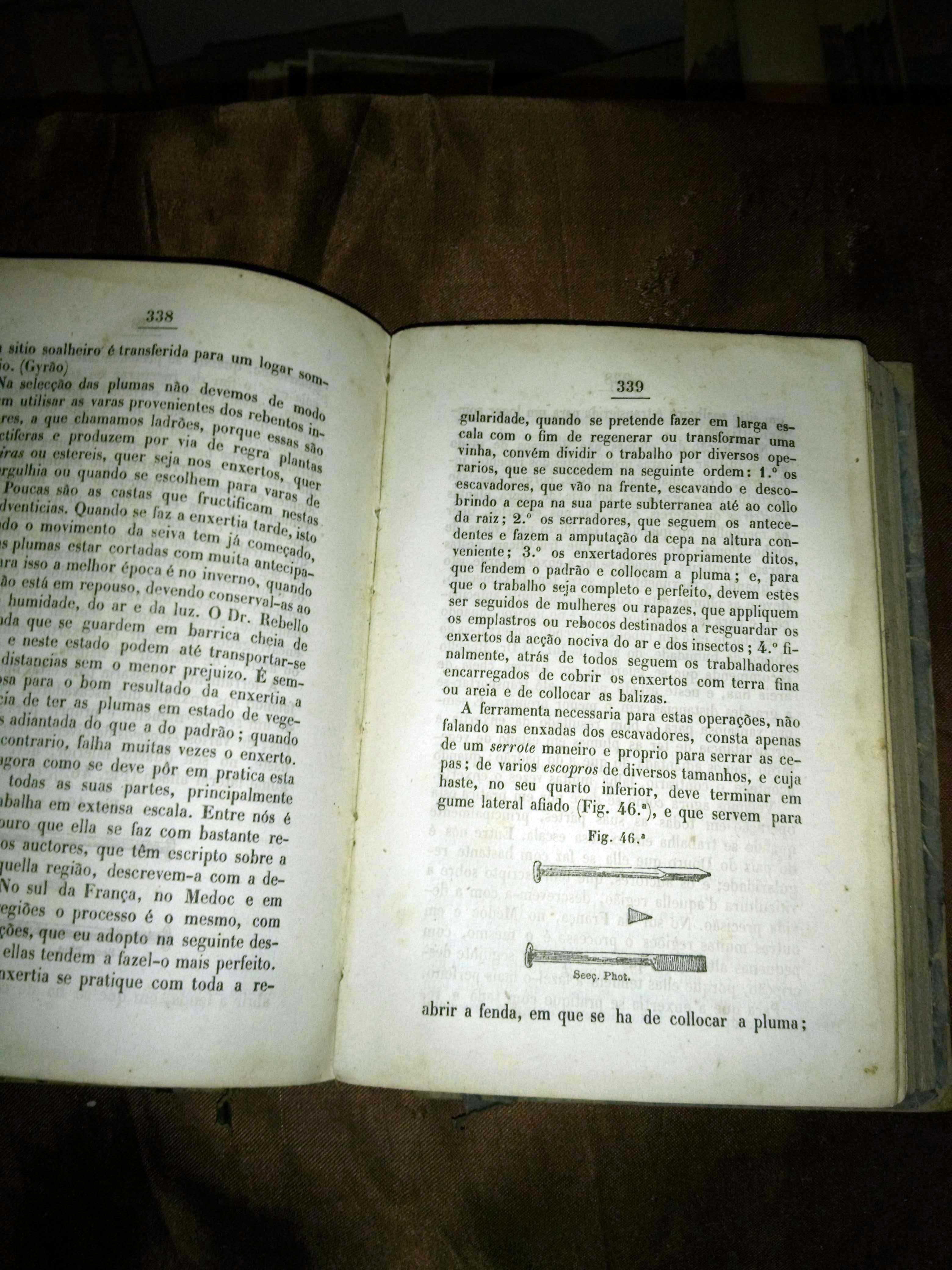 MANUAL DE VITICULTURA PRÁTICA - Visconde de Villa Maior (1881)