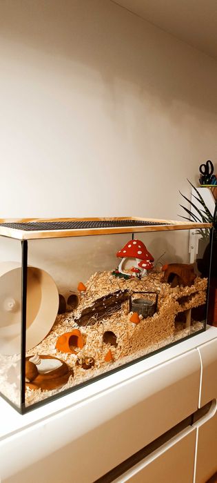 klatka dla chomika l Akwarium dla Gryzoni l Ręcznie robiona