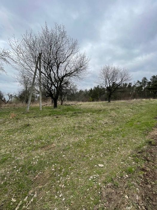 Земельна ділянка, гектар Підгірці, Рівненський район. 4500.