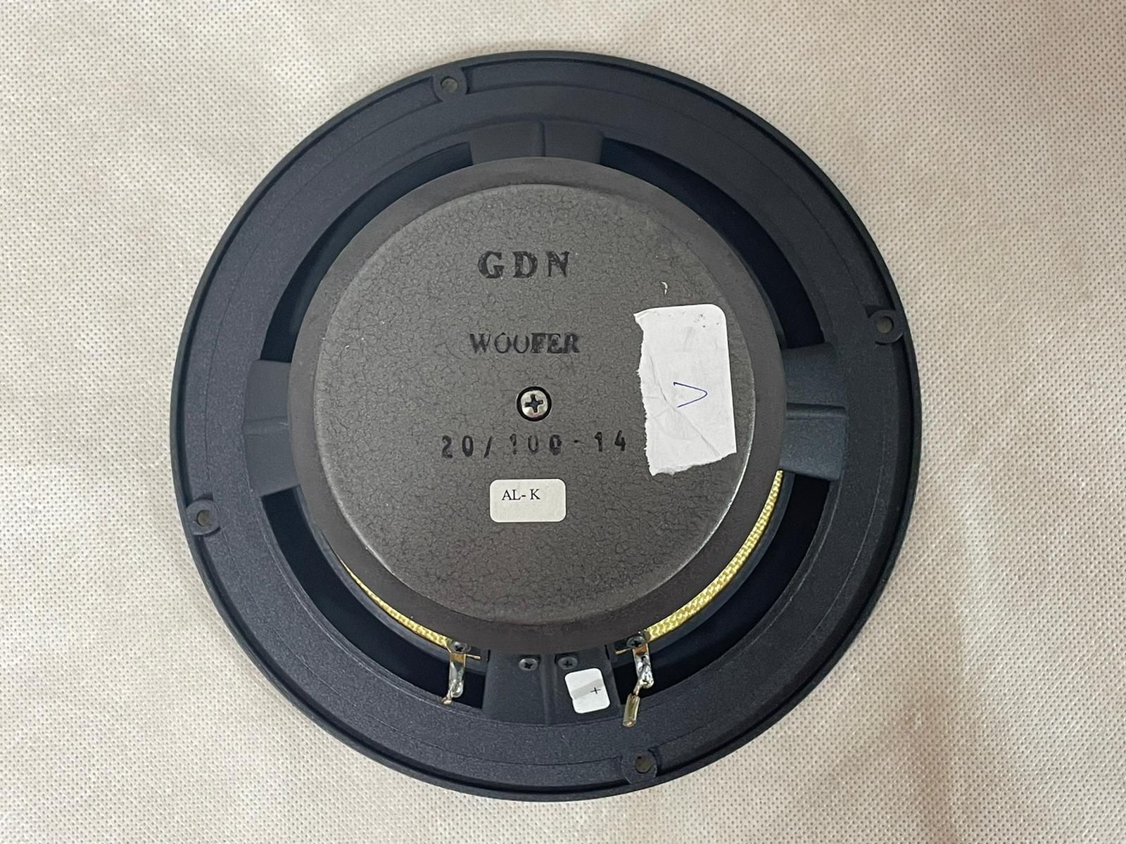Głośnik STX GDN 20/100 - 14 Tonsil