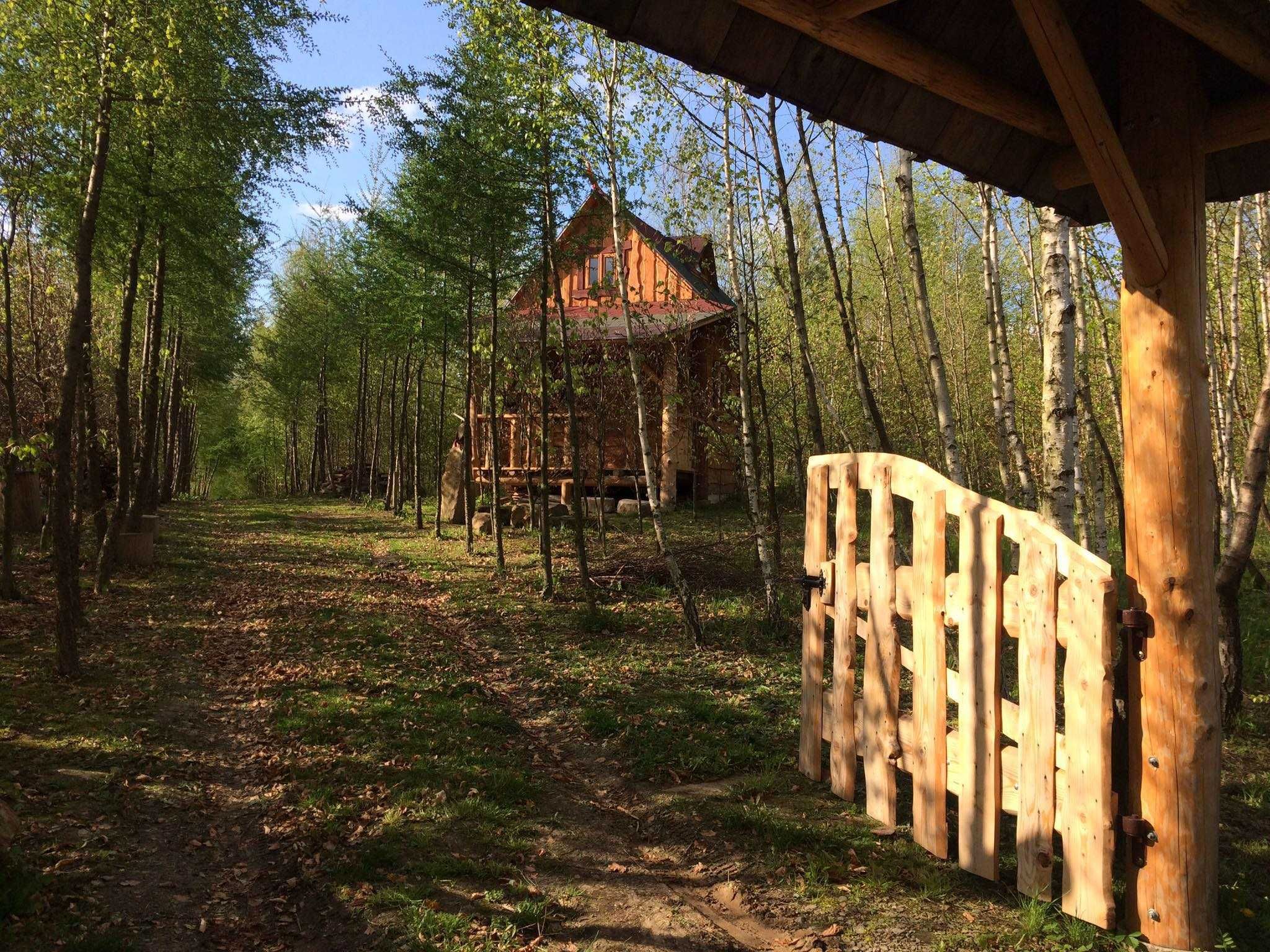 Wynajmę domek całoroczny Chatka Baba Jagi, altana grillowa