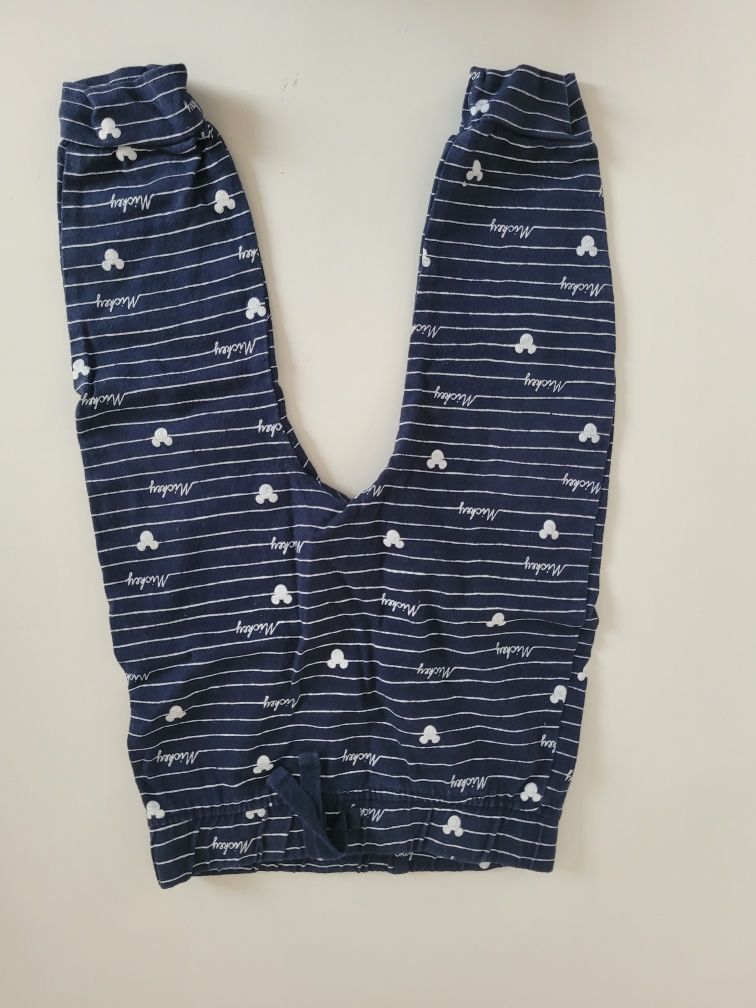 Spodnie roz. 74-80