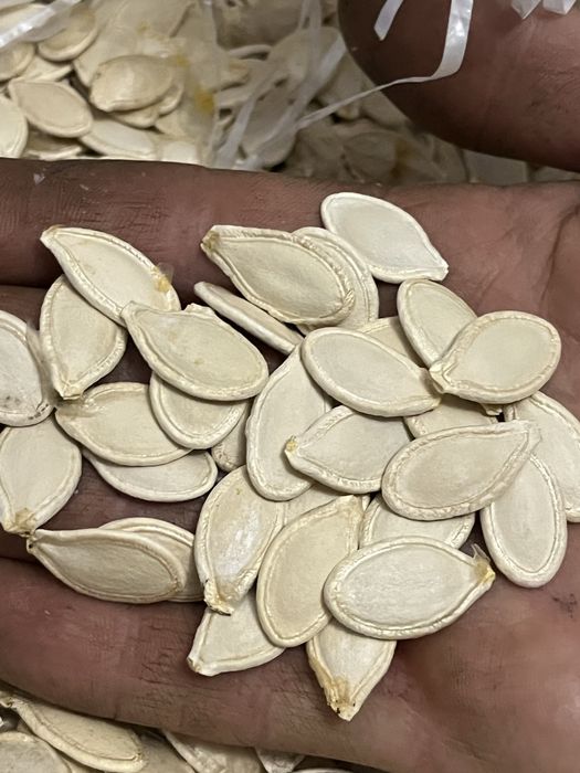 Гарбузове насіння