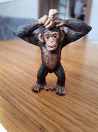 Szympans schleich figurka