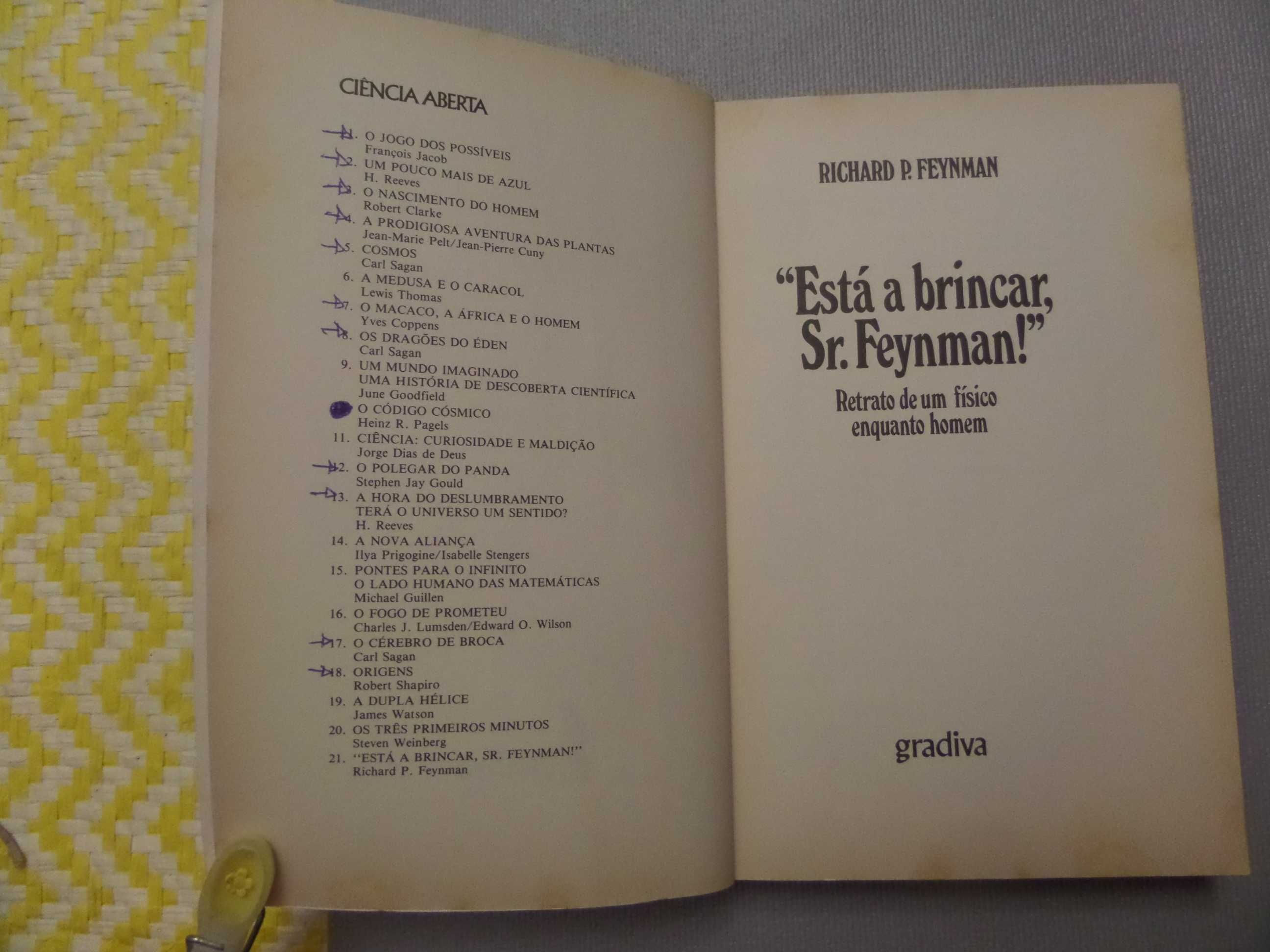 ESTÁ A BRINCAR, SR. FEYNMAN?
Retrato de um físico enquanto homem.