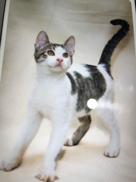 Czy ktoś mnie zechce ?