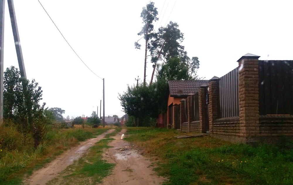 Земельна ділянка  неподалік лісу с.Геронимівка