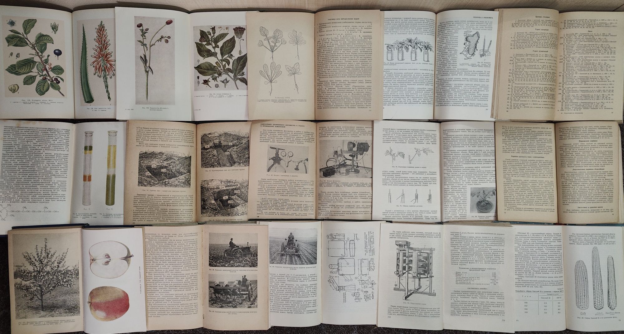 книги Фармакогнозия. Овощеводство. Биохимия Анализ почв. Сорт и семена