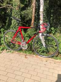 Rower szosowy - rama karbon / aluminium Campagnolo