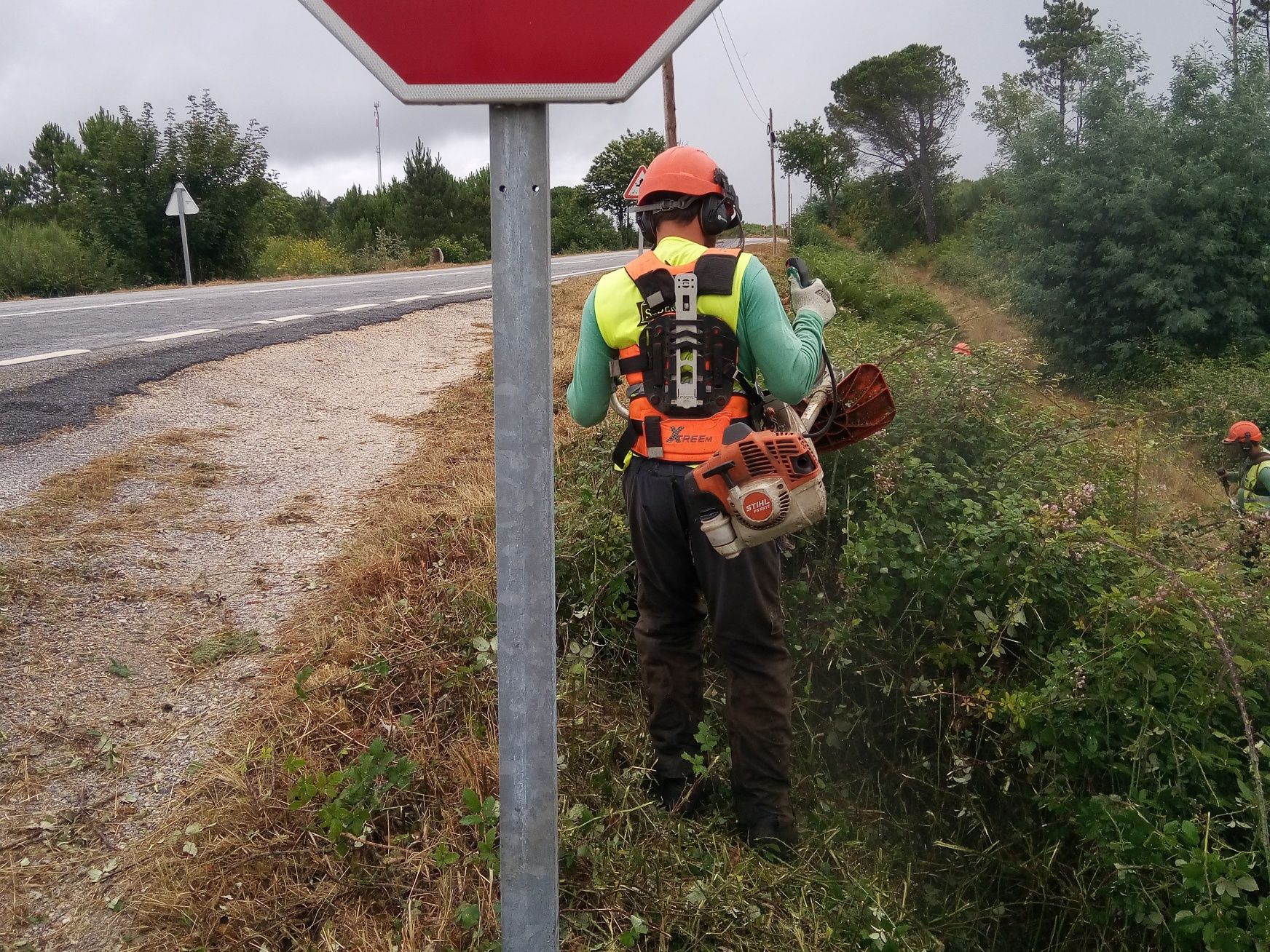 Limpeza de Terrenos e Jardinagem de Norte a Sul de Portugal