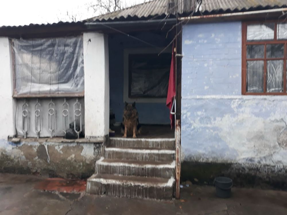 Продам ДОМ в Вознесенске