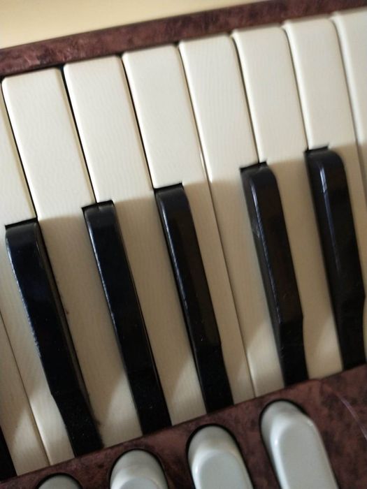 Akordeon S. Soprani 120