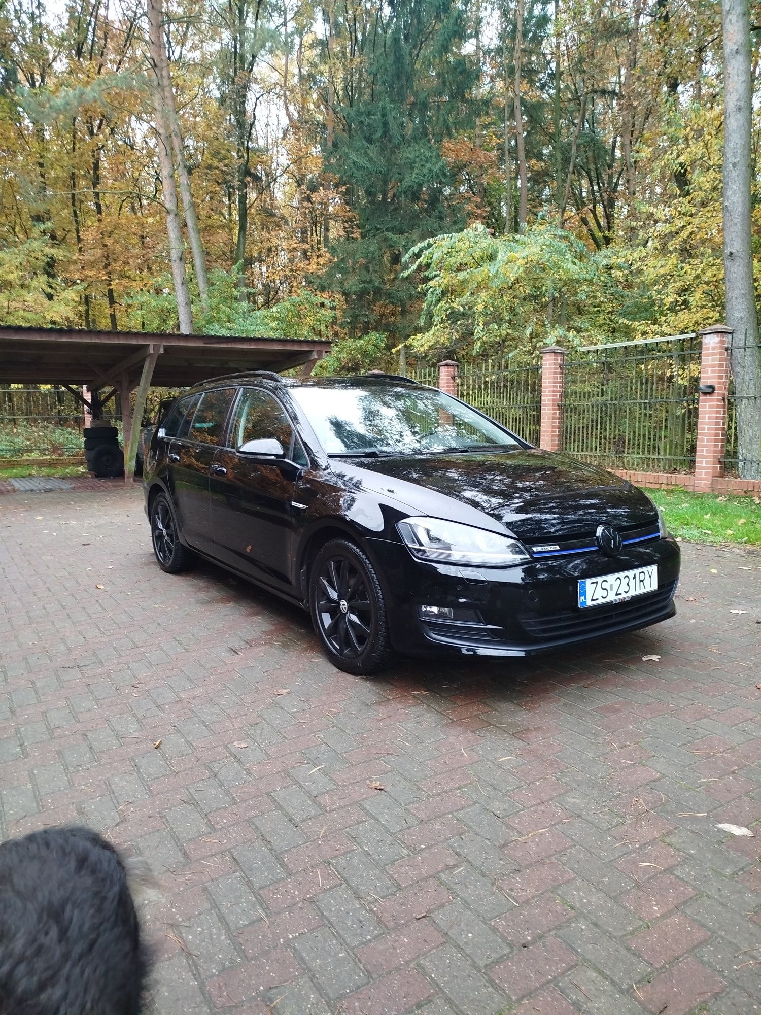 idealny, max wyposazenie,unikat,dsg 7 biegow,full servis,benzyna,LPG