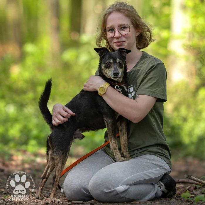 Czekuś szuka kochającego domu! OTOZ Animals Ciapkowo