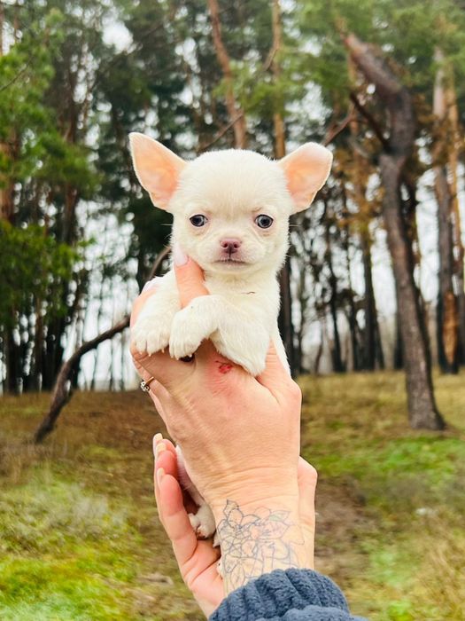 Детки чишки мальчик и девочки.