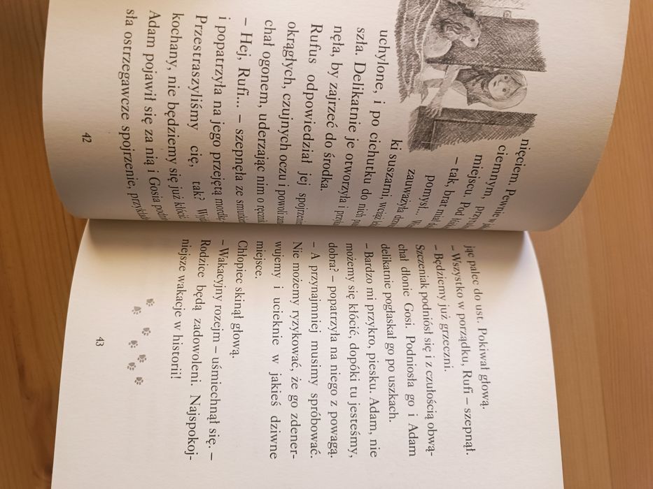 Na ratunek Rufiemu Holly Webb
