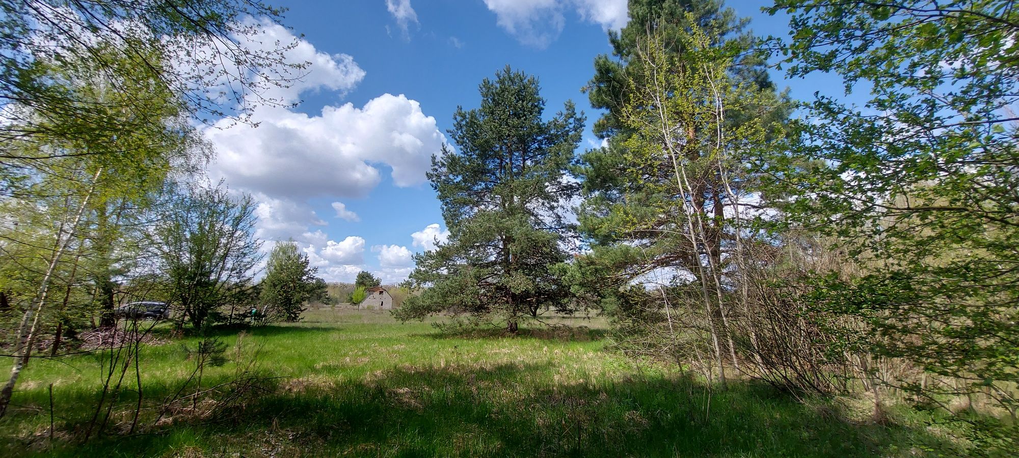 Продам власну ділянку в садовом товаристві