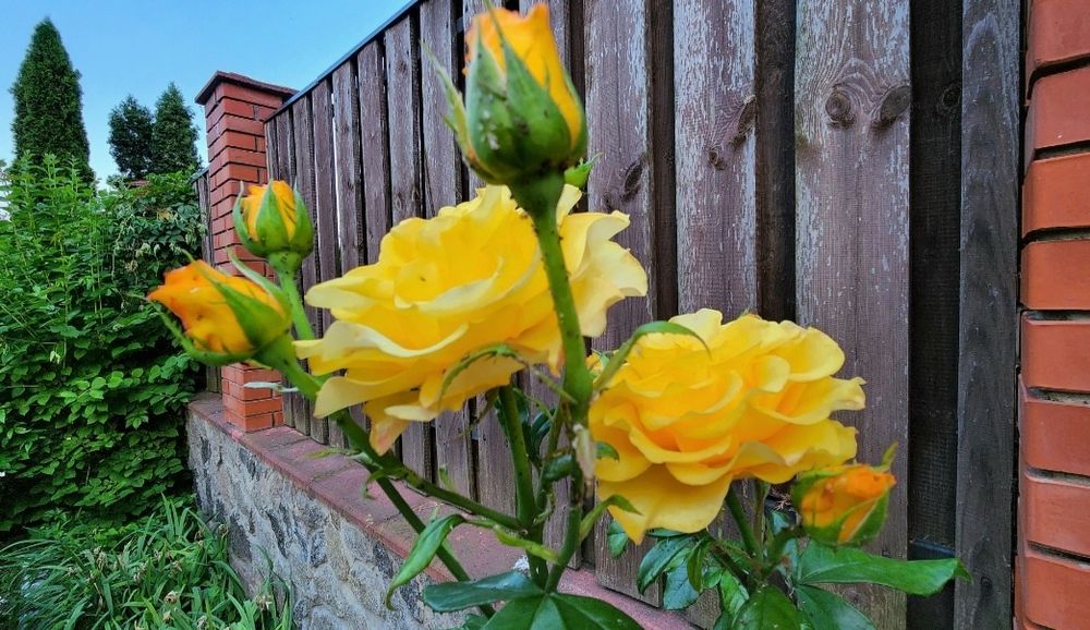 Продажа евродвушки(1к квартира)ЖК Бирюза Подгорцы, генератор,закрытая