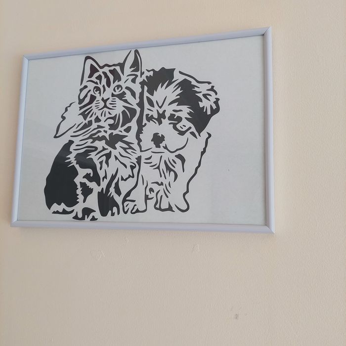 Obrazy w antyramkach KOTY