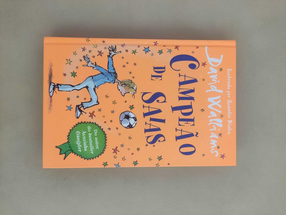 Livro Capitão de Saias