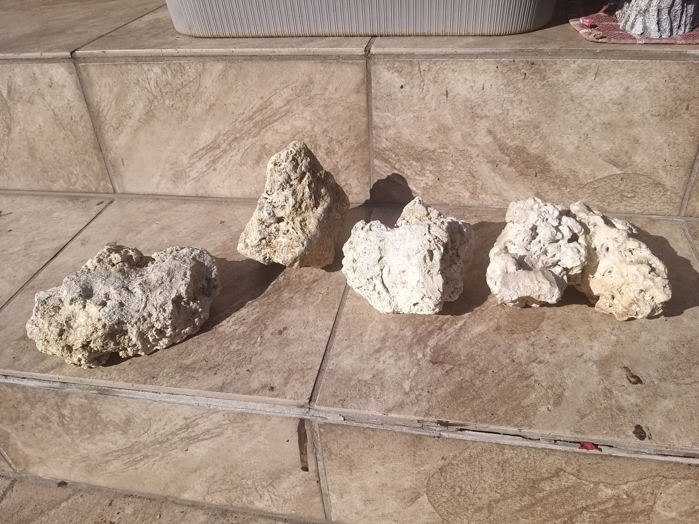 Kamienie akwarystyczne