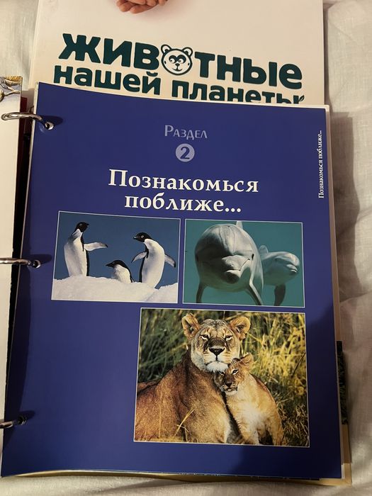 Набор журналов животные нашей планеты