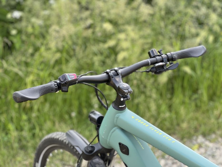 Bulls cross flyer evo2