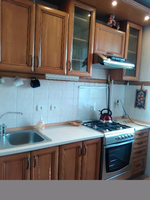 Виноградарь 3 к. кв.  Гречка (Виговського) 11 а.подобово Кондиціонер