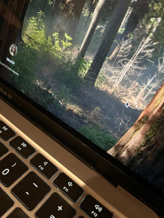 MacBook air M1 16 / 256