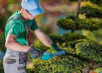 Adubação e jardinagem em todas as regiões da  Margem Sul