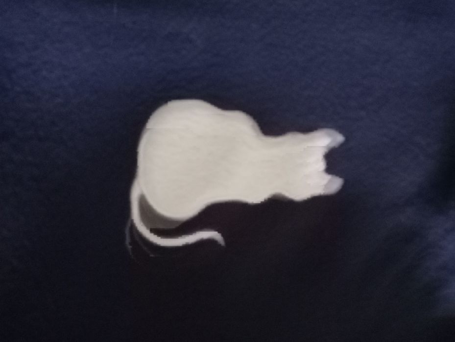 Bluza polarowa damska