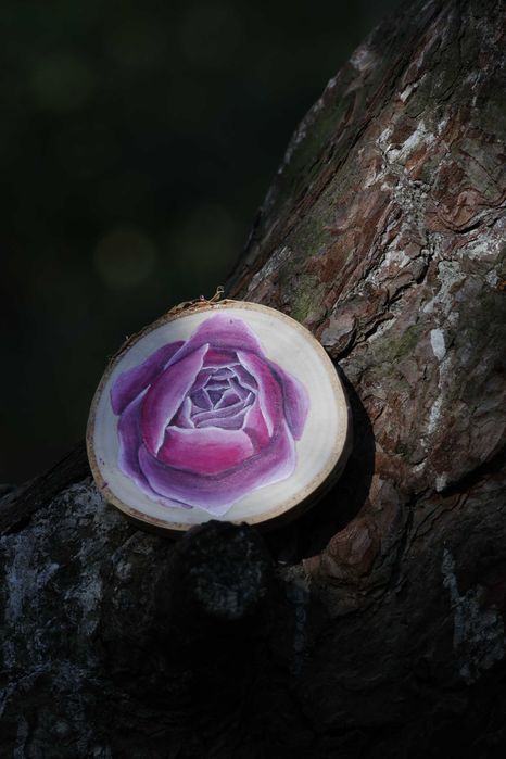 Magnes na lodówkę róża angielska