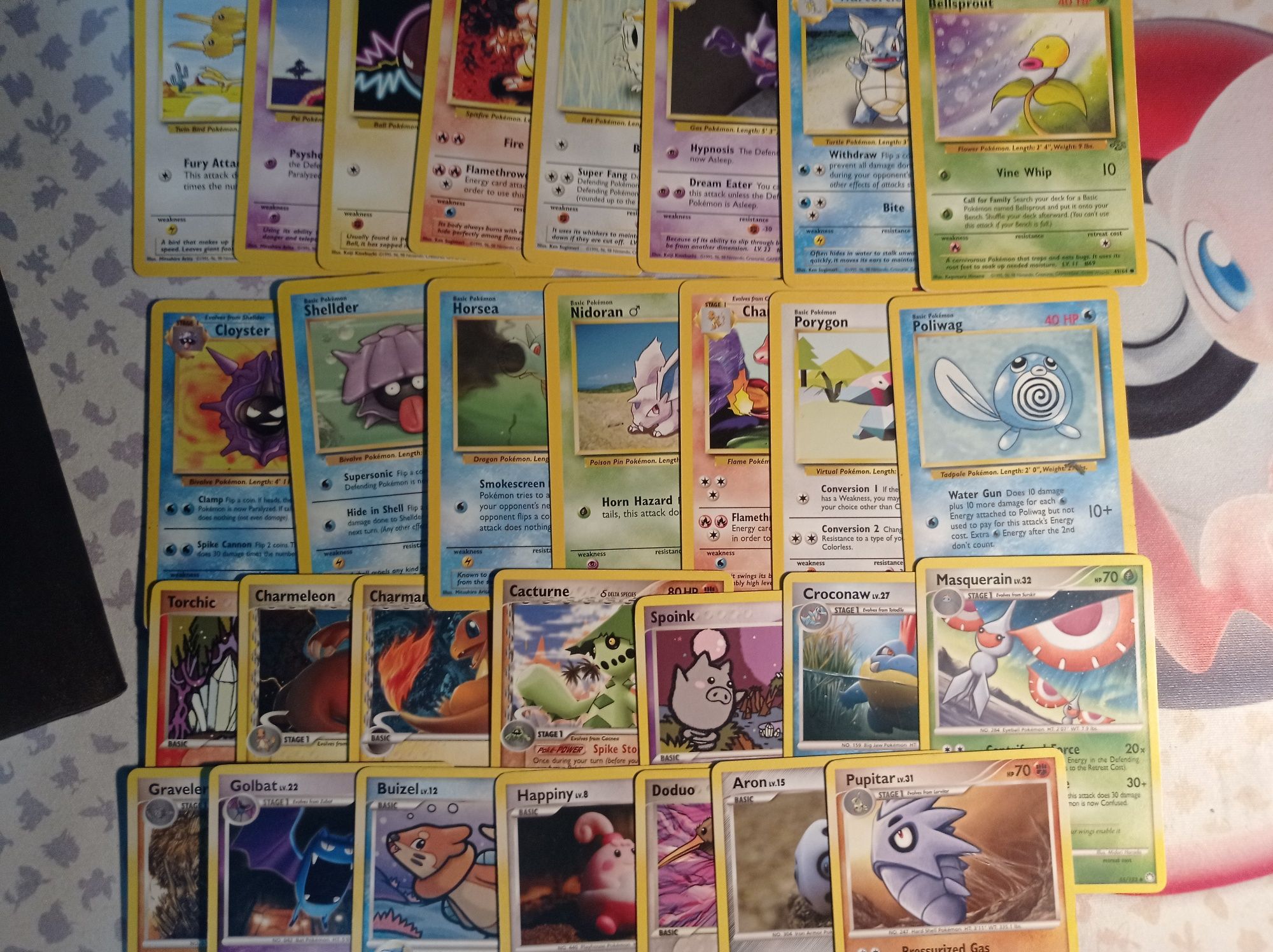 wielka kolekcja kart pokemon, Lublin