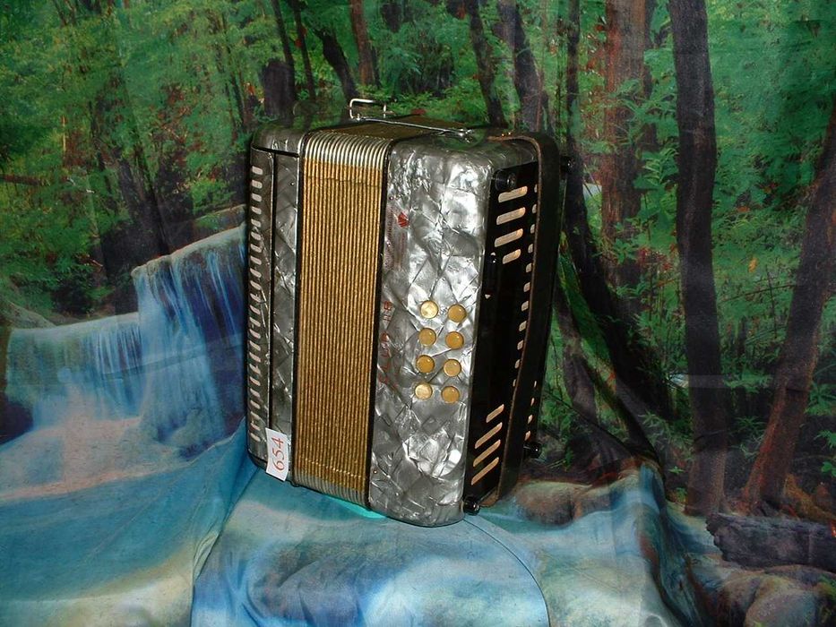 Concertina a venda n.654