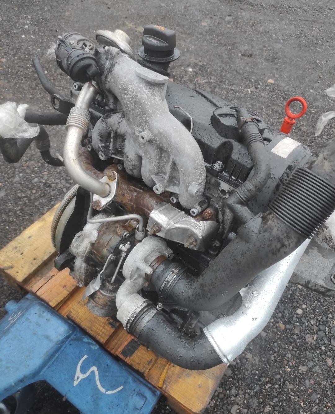 VW T5 1.9TDI Silnik kompletny 1.9 TDI AXB AXC  gwarancja 240 tyś