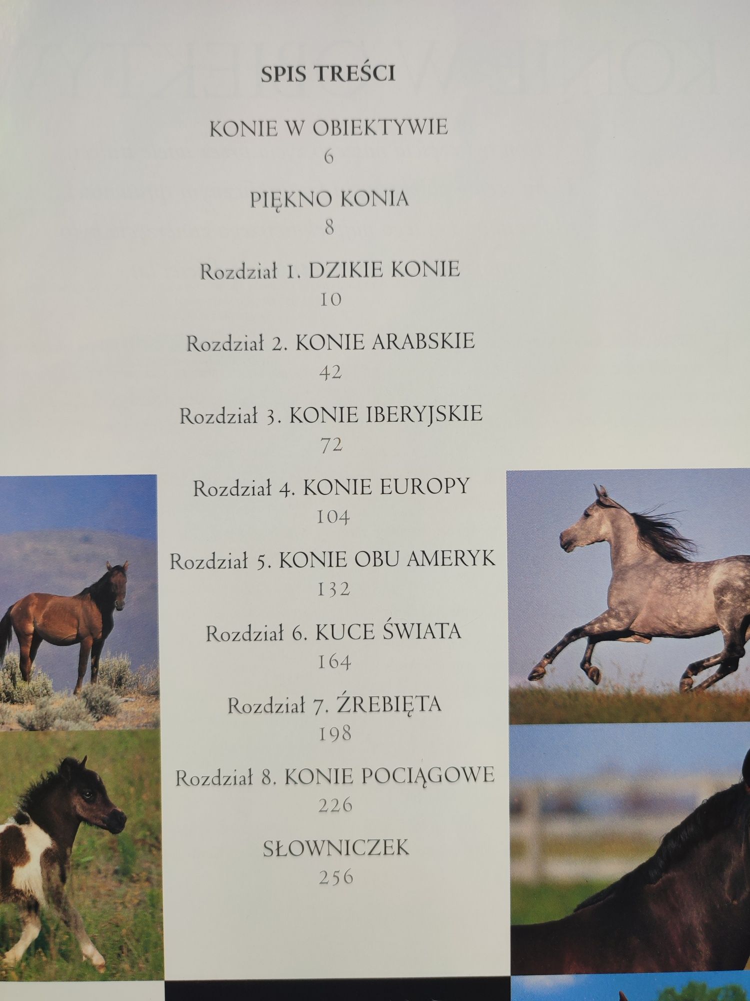 Zestaw książek o koniach i kucach