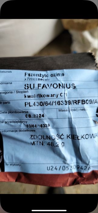 Sprzedam zboże pszenżyto