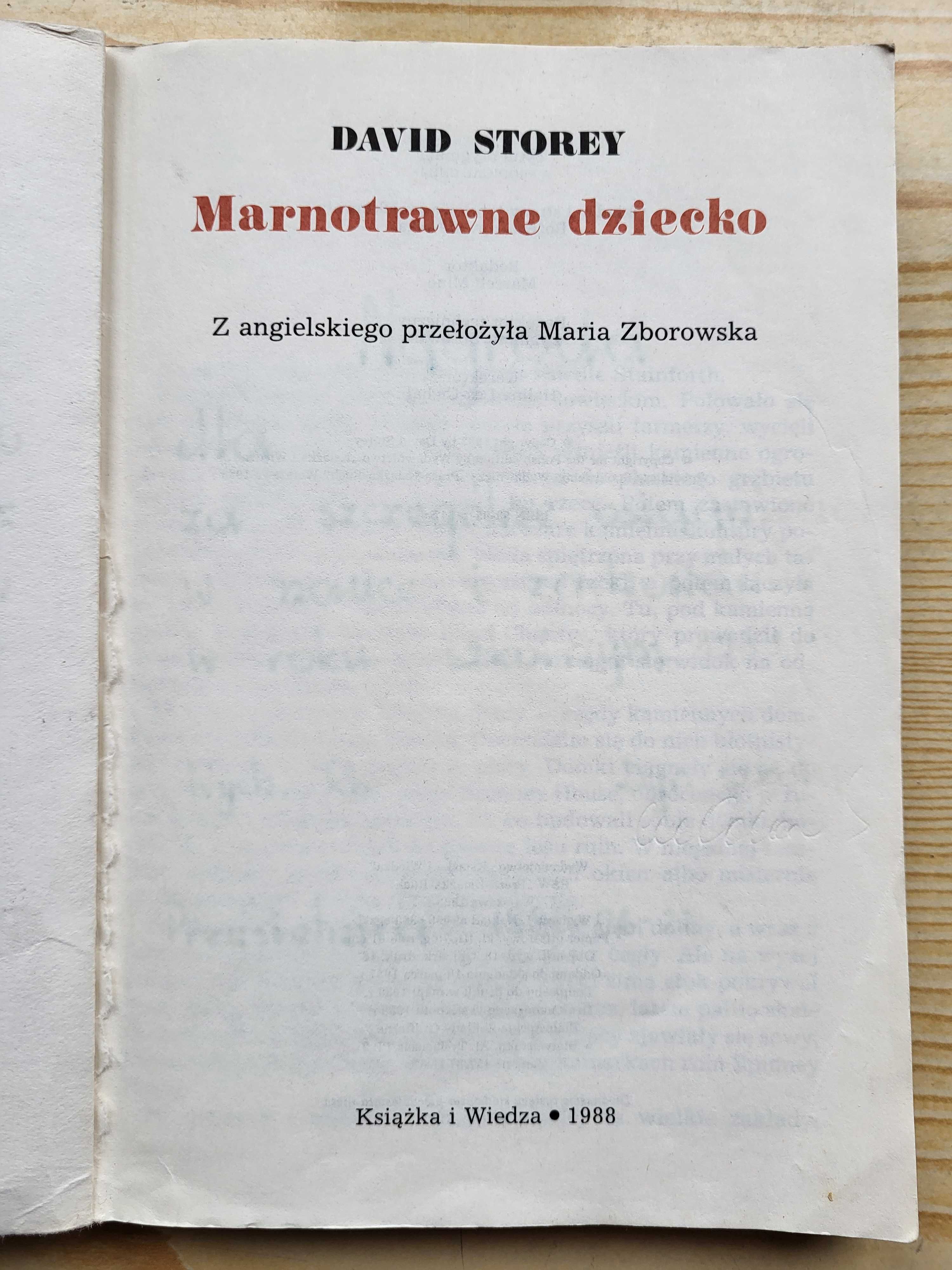 David Storey "Marnotrawne dziecko" - stan DOBRY - B. TANIO!