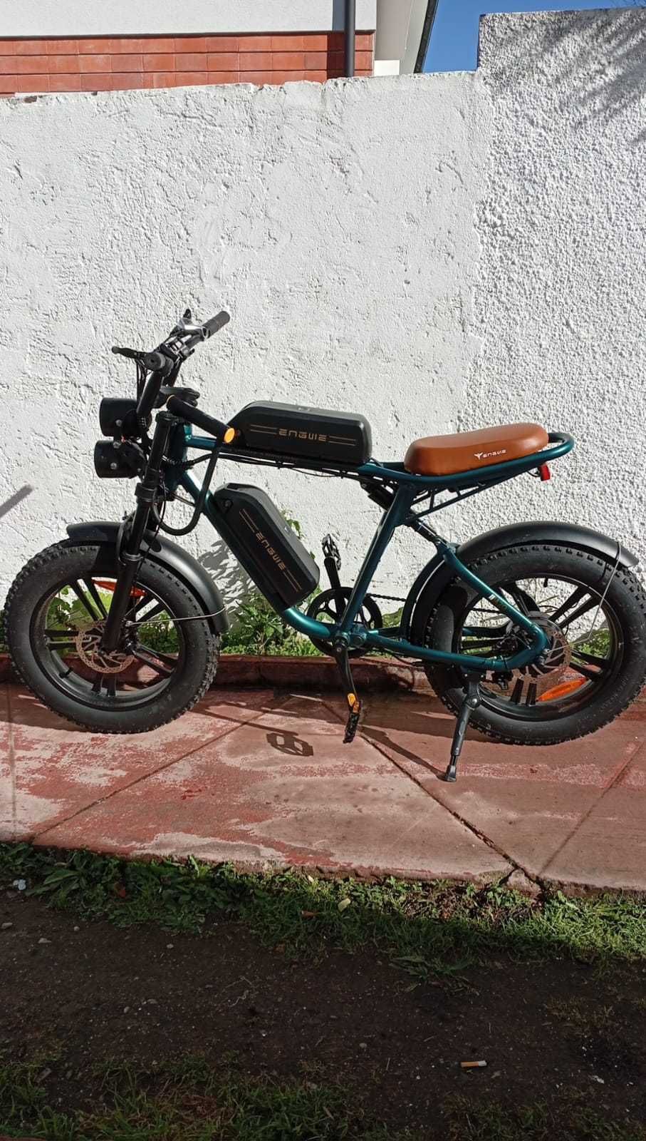 Bicicleta elétrica