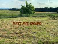 Oddam miejsce na wysyp ziemi