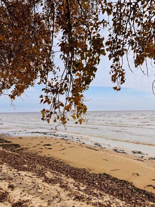 Продаж будинку на березі Київського моря, Козаровичи без %