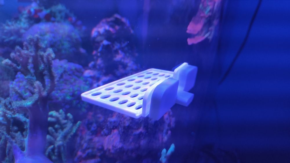 Magnetyczna półka na Szczepki koralowców akwarium morskie