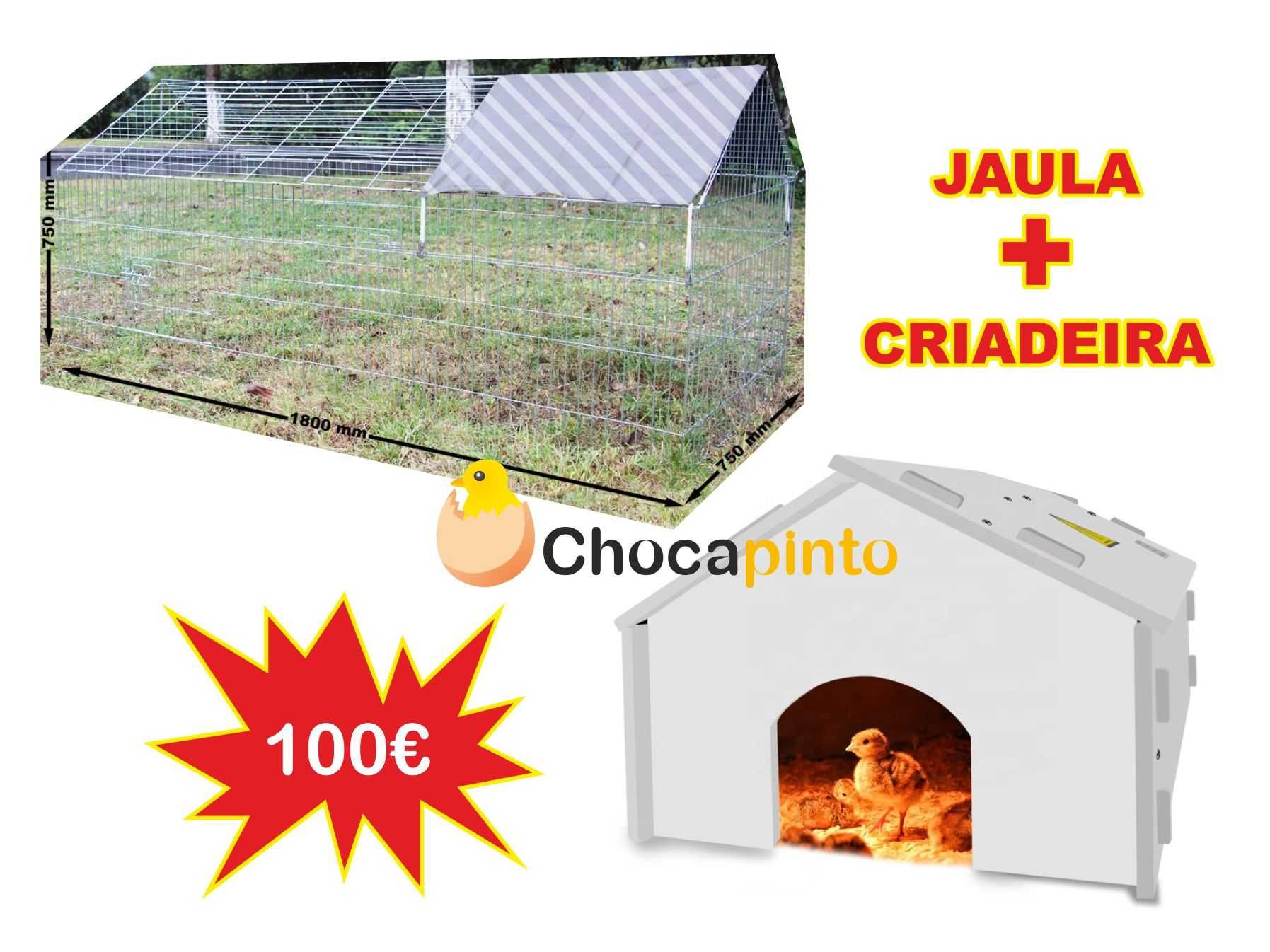 .::ProMoçãO:.. Conjunto de Jaula + Criadeira