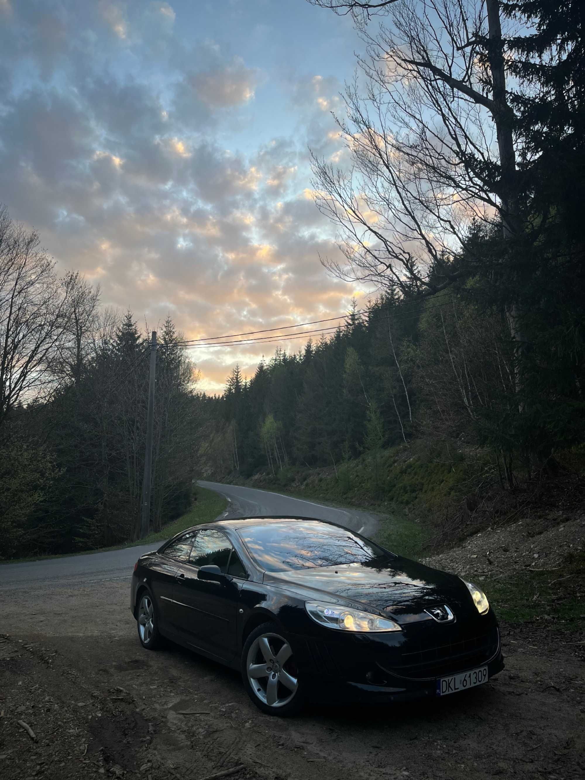 Peugeot 407 coupe platinium polift 2008