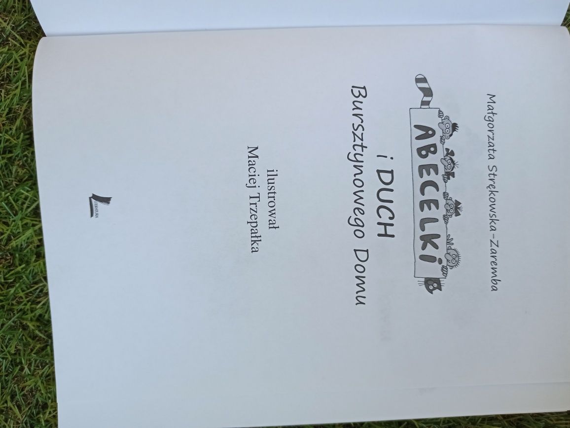 Abecelki i Duch Bursztynowego Domu książka dla dzieci