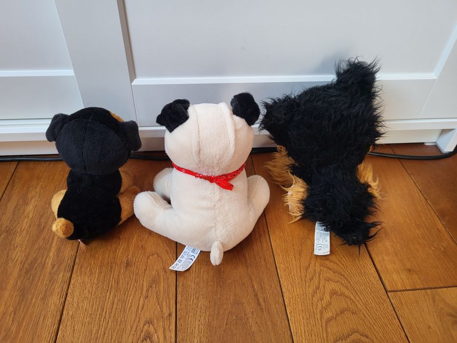 zestaw 3 pluszowych piesków, pieski pluszaki Ty, Pepco